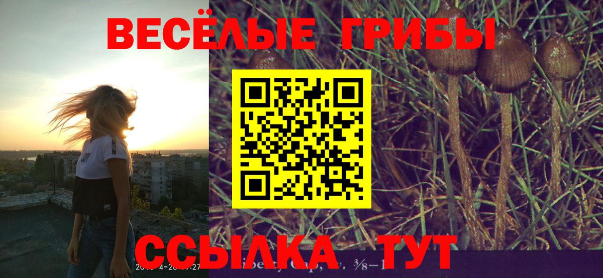 Галлюциногенные грибы мухоморы  Вход с VPN  Краснознаменск 